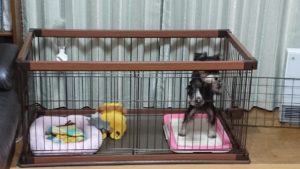 ゆったり余裕の新しいおうち