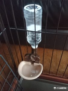 自動給水式ディッシュ