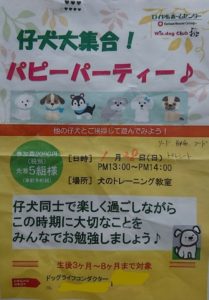 パピーパーティ